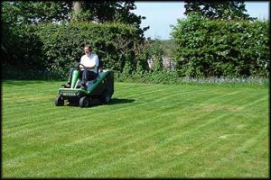 Photo of a sit down mower on Hedges and Lawn Care page