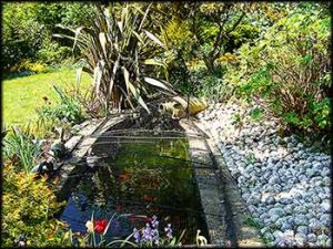 Photo of a pond for water features page