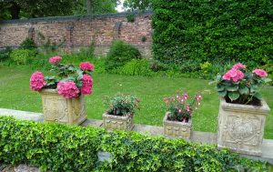 Flower pots in a walled garden for Gardening Links page