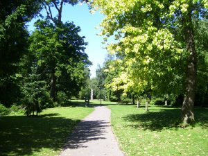 Summer Trees